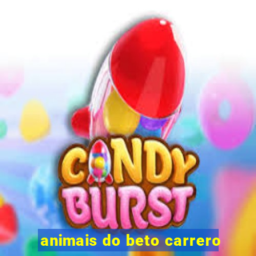 animais do beto carrero